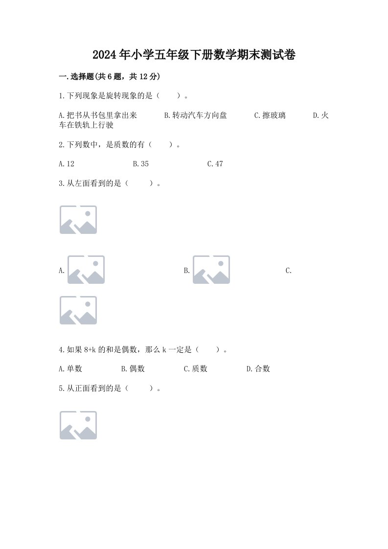 2024年小学五年级下册数学期末测试卷含答案（满分必刷）