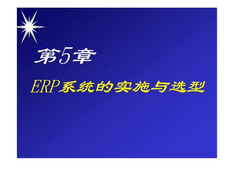 ERP企业资源计划第五章上课用