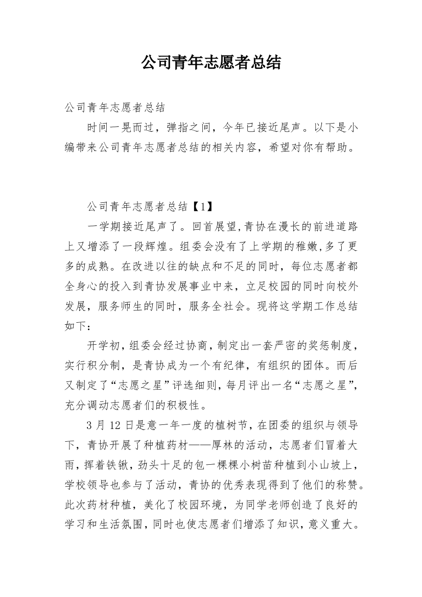 公司青年志愿者总结