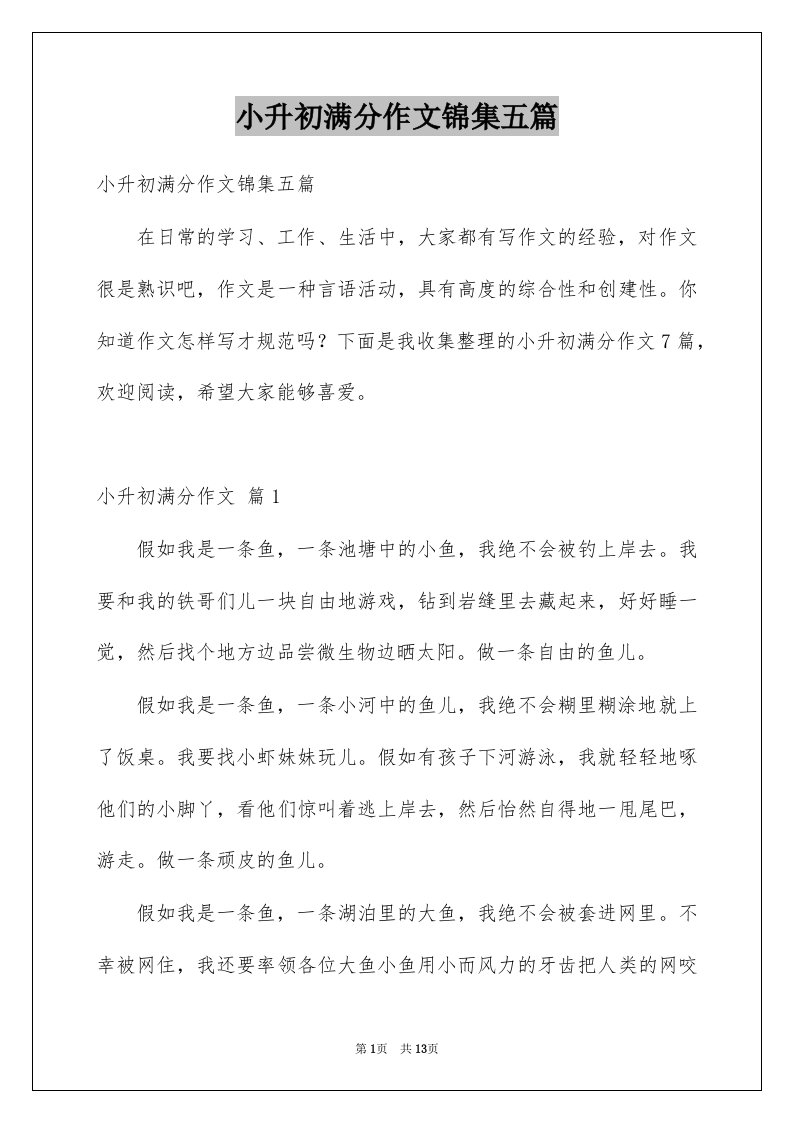 小升初满分作文锦集五篇范文