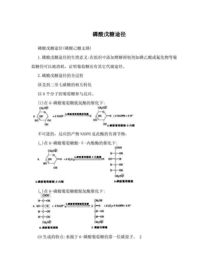 磷酸戊糖途径