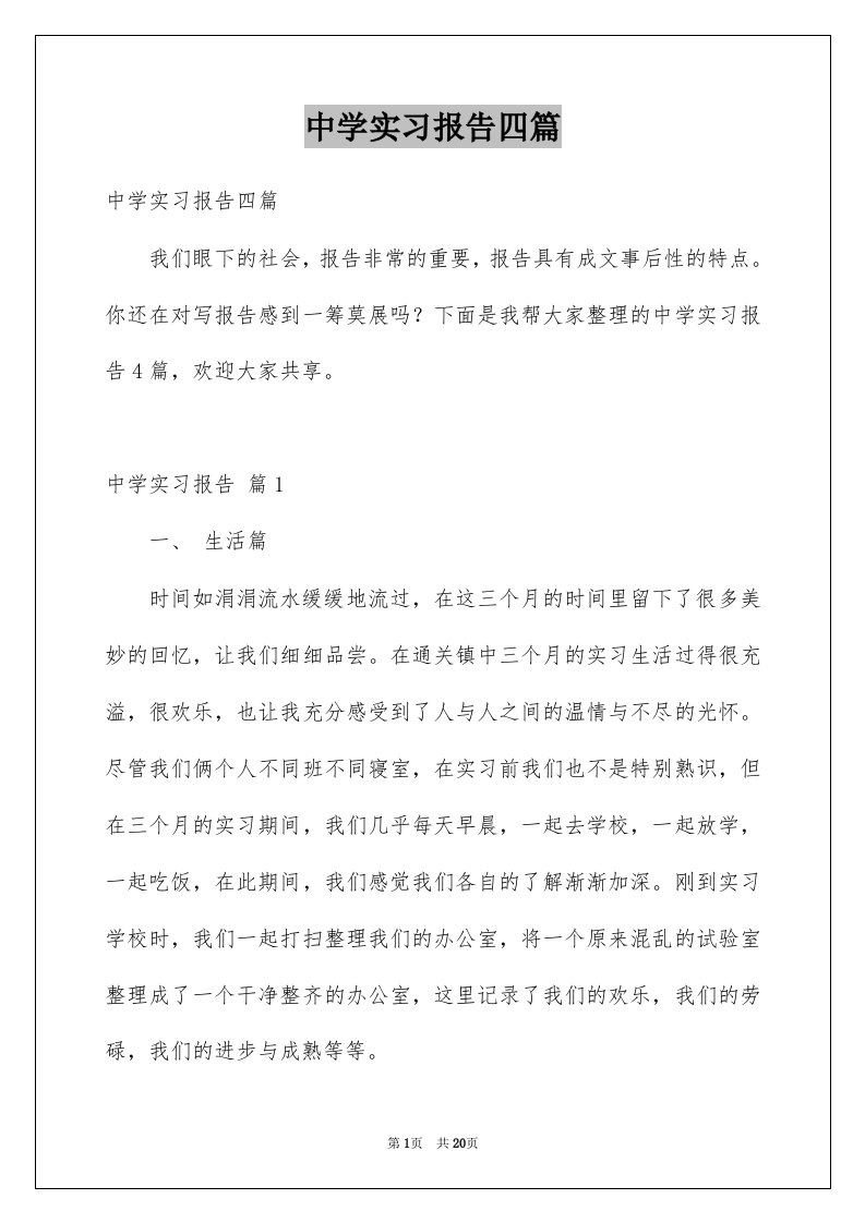 中学实习报告四篇例文