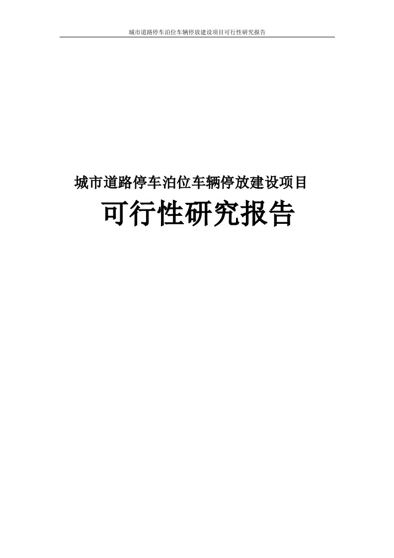 城市道路停车泊位车辆停放建设项目可行性研究报告