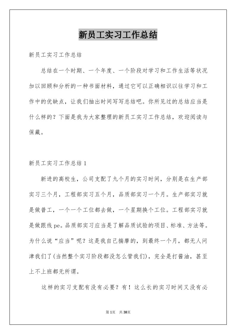 新员工实习工作总结例文