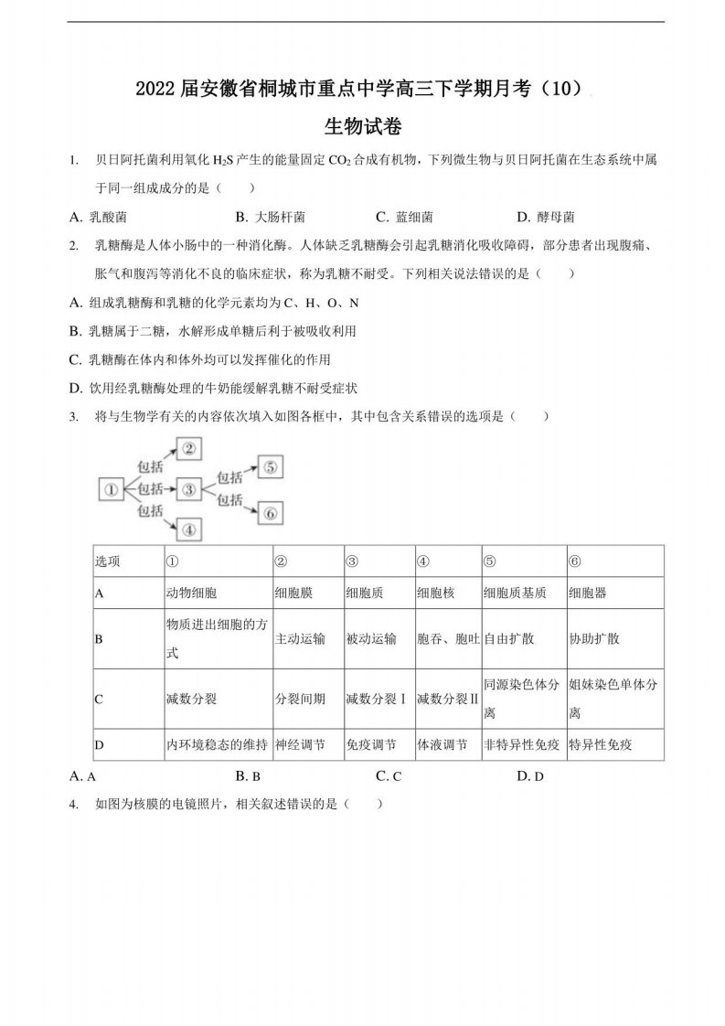 2022届安徽省桐城市重点中学高三下学期月考十生物试卷