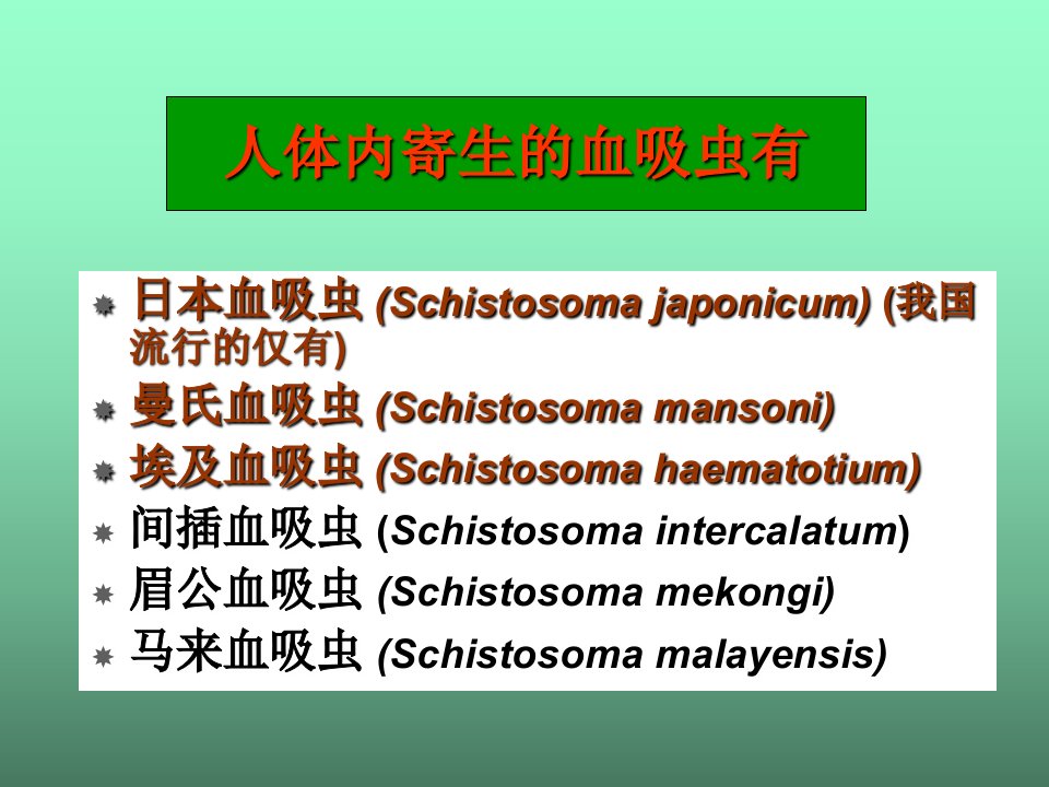 寄生虫学第七讲血吸虫-ppt课件