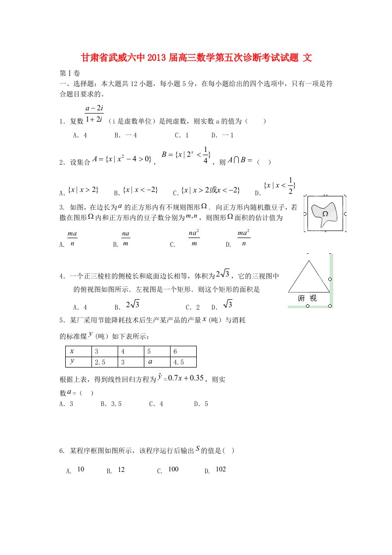 甘肃省武威六中2013届高三数学第五次诊断考试试题