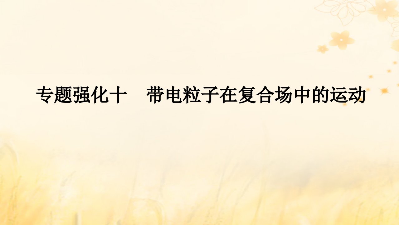 2025版高考物理全程一轮复习第十一章磁场安培力与洛伦兹力专题强化十带电粒子在复合场中的运动课件