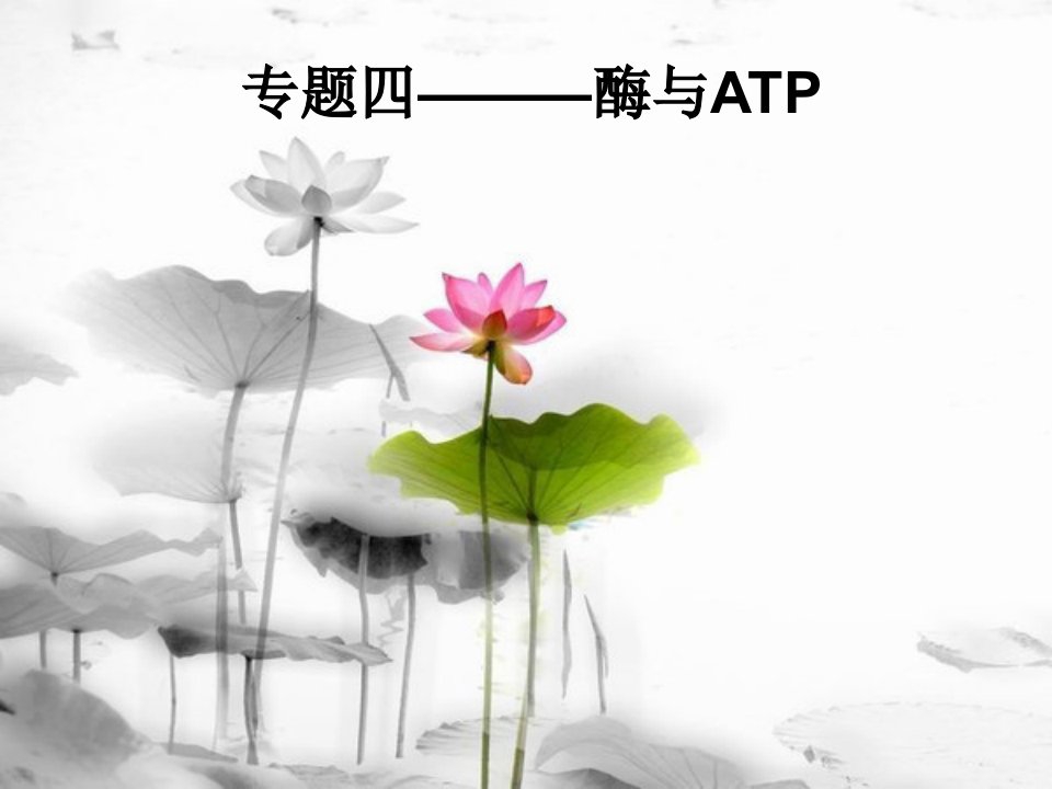 生物必修1酶和ATP一轮复习