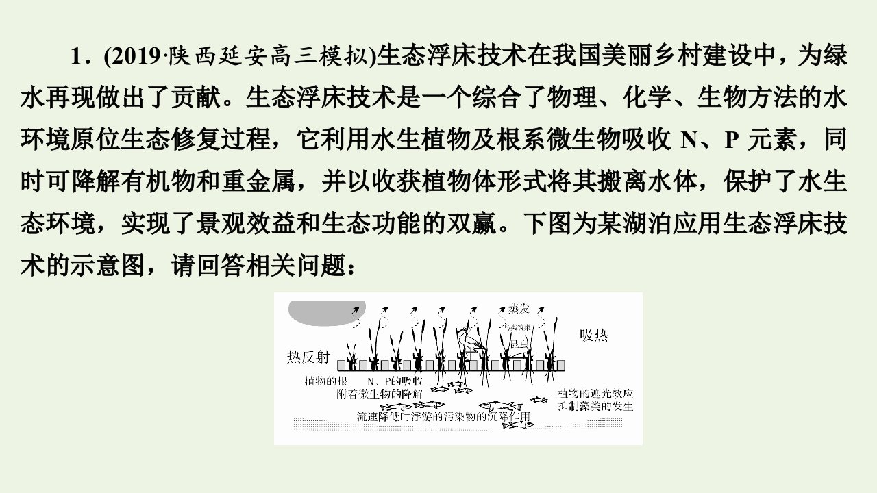 版高考生物二轮复习