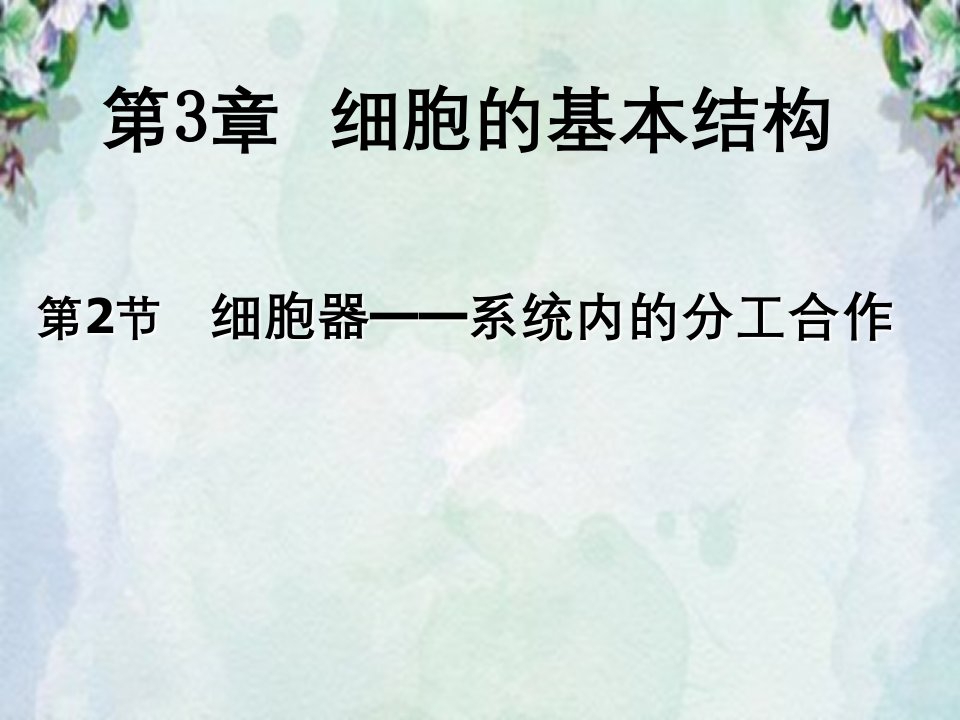 高一生物细胞器系统内分工合作讲义新课标人教版