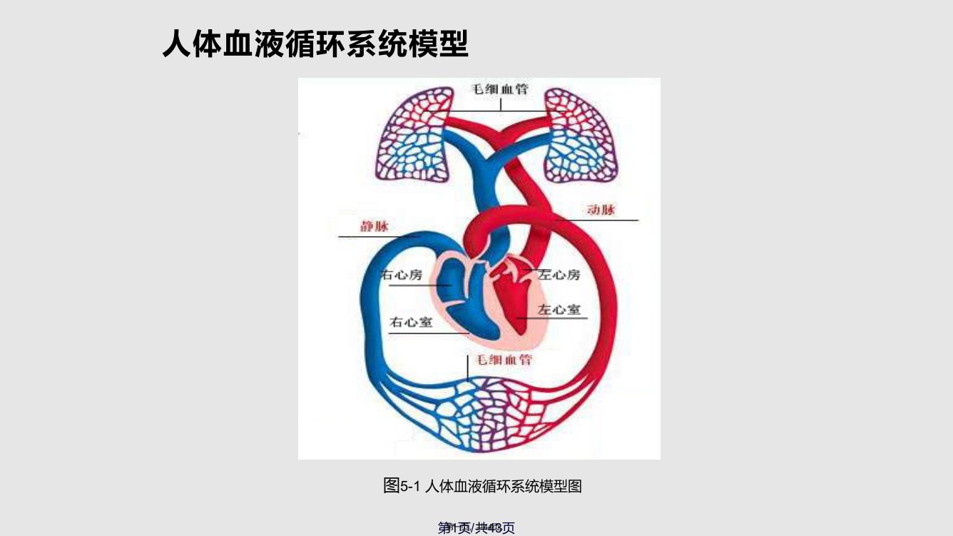 血压测量学习教案