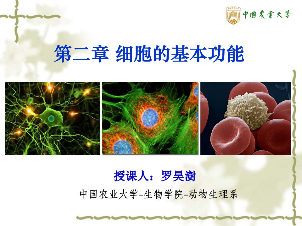 《生理学》第二章细胞的基本功能PPT课件