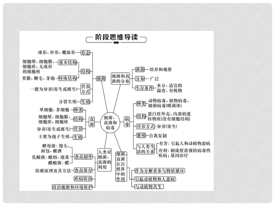 八年级生物上册