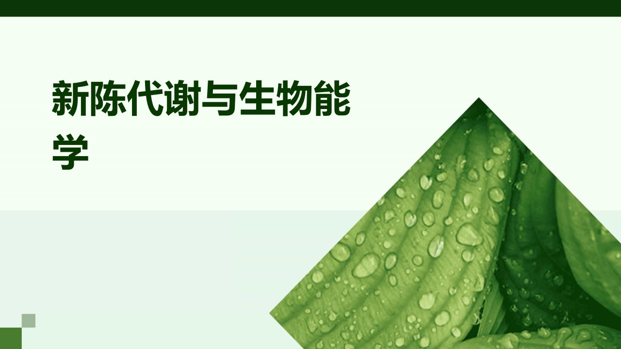 《陈代谢与生物能学》课件