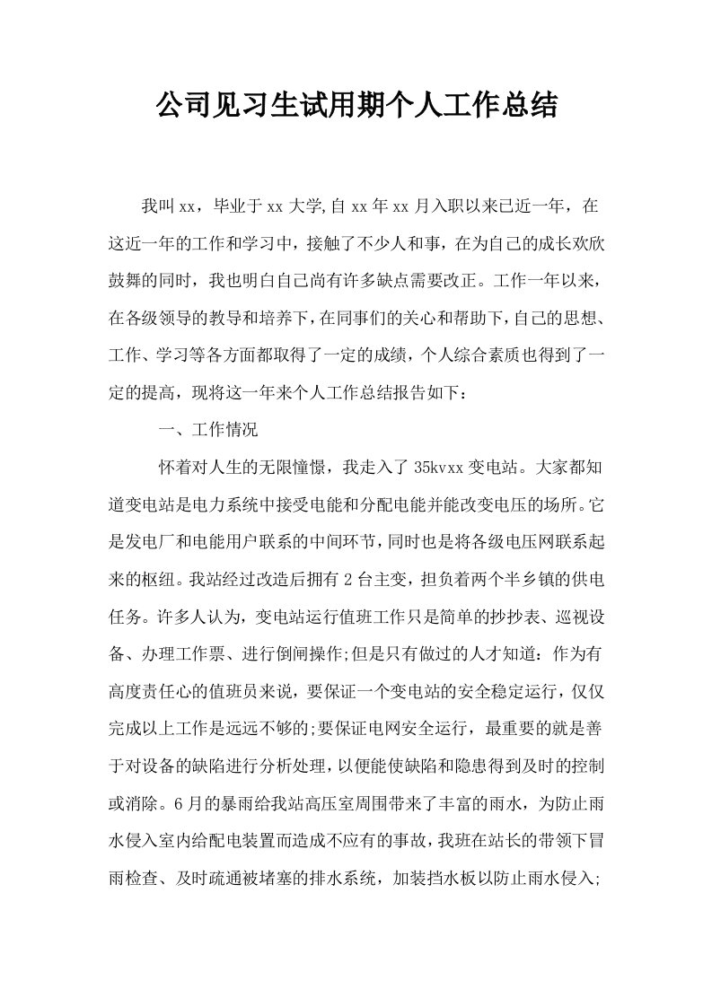 公司见习生试用期个人工作总结