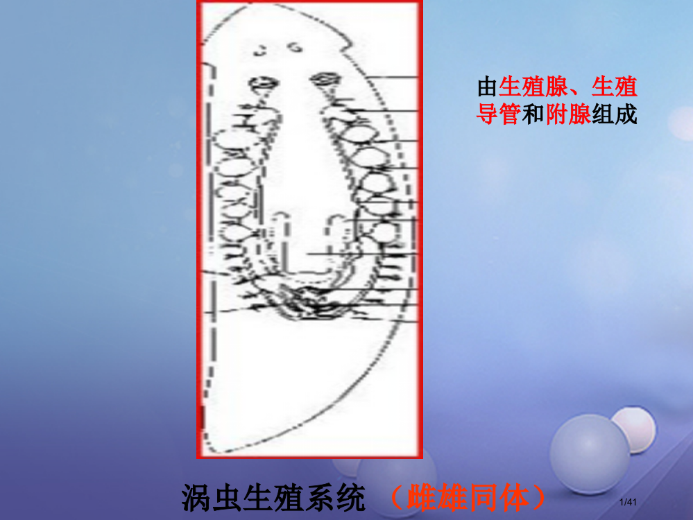 七年级科学下册6.1动物的生殖与发育省公开课一等奖新名师优质课获奖PPT课件