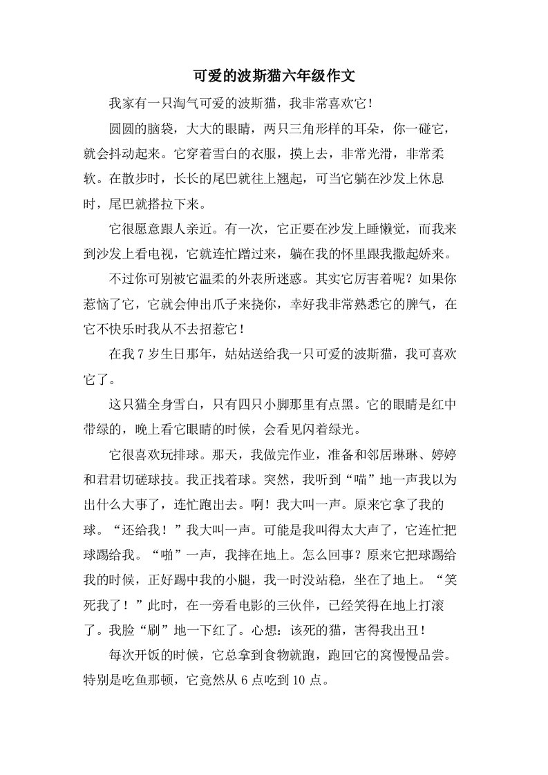 可爱的波斯猫六年级作文