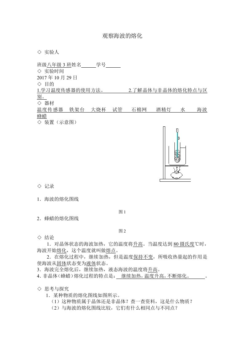 海波的熔化实验报告