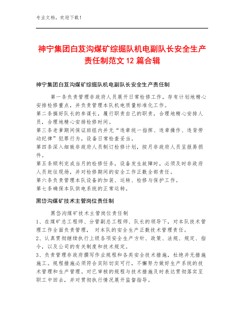 神宁集团白芨沟煤矿综掘队机电副队长安全生产责任制范文12篇合辑