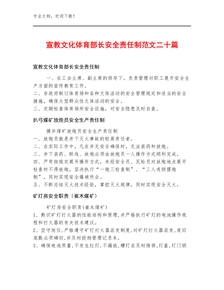 宣教文化体育部长安全责任制范文二十篇