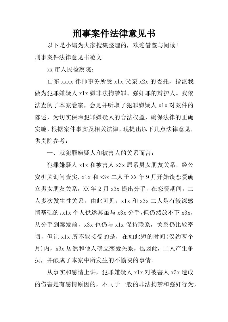 刑事案件法律意见书.docx