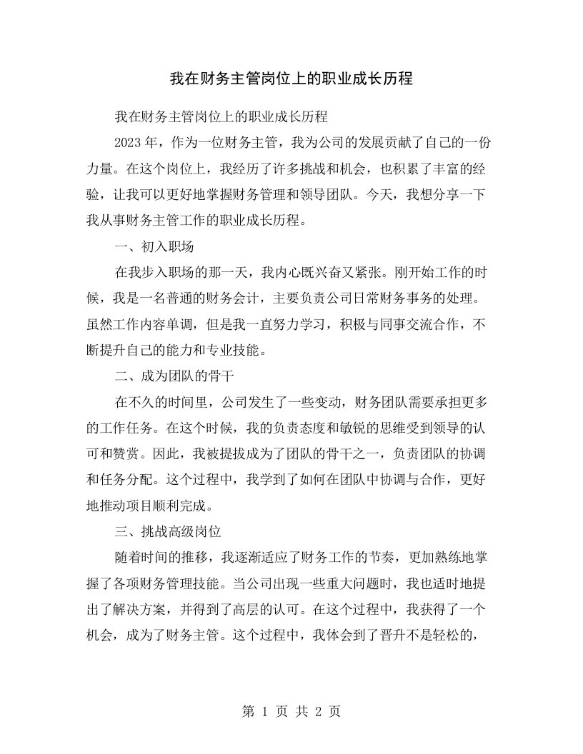 我在财务主管岗位上的职业成长历程