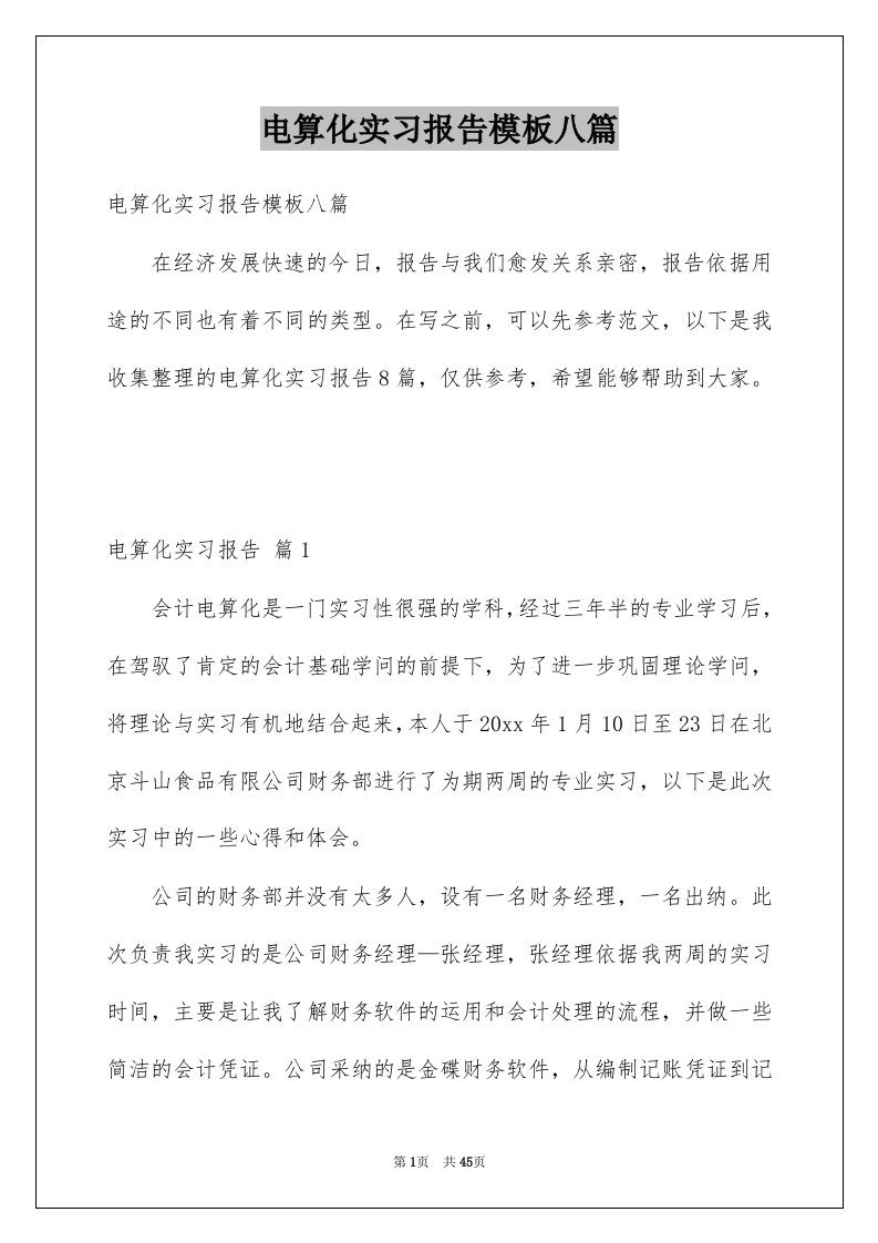 电算化实习报告模板八篇