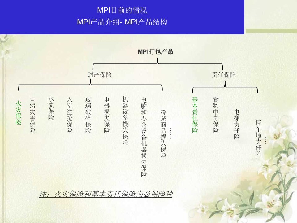 MPI产品介绍PPT课件