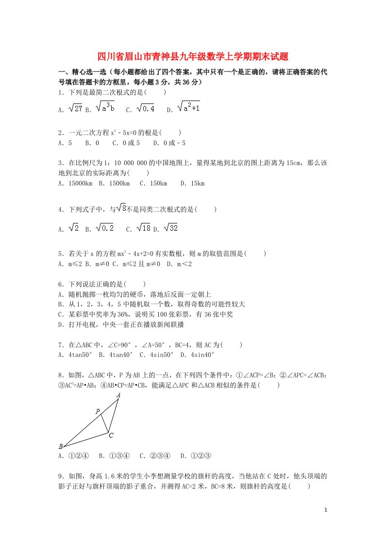 四川省眉山市青神县九级数学上学期期末试题