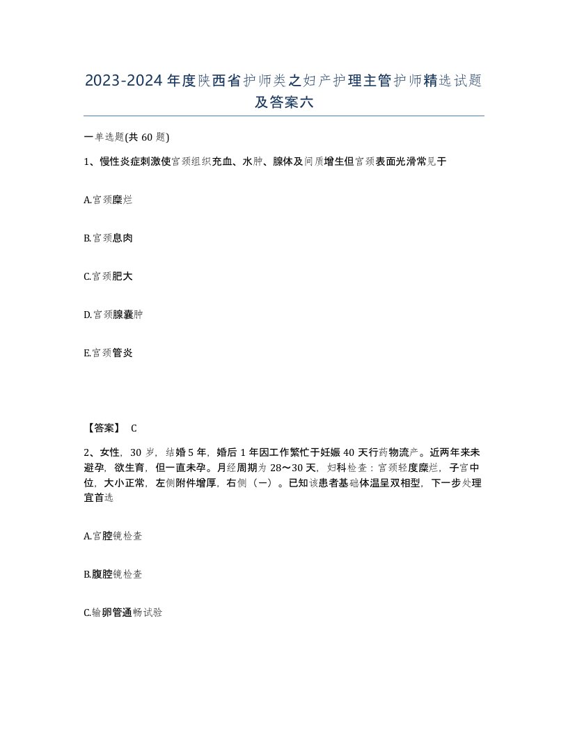 2023-2024年度陕西省护师类之妇产护理主管护师试题及答案六