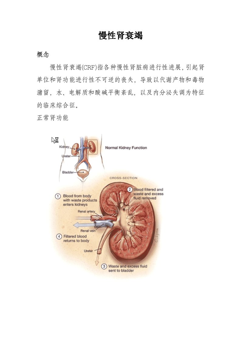 慢性肾衰竭及案例分析