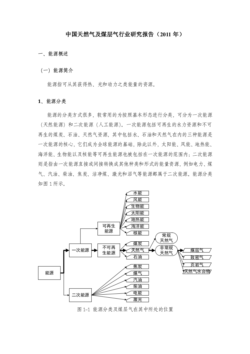 我国天然气及煤层气行业申请建设可研报告(2011)