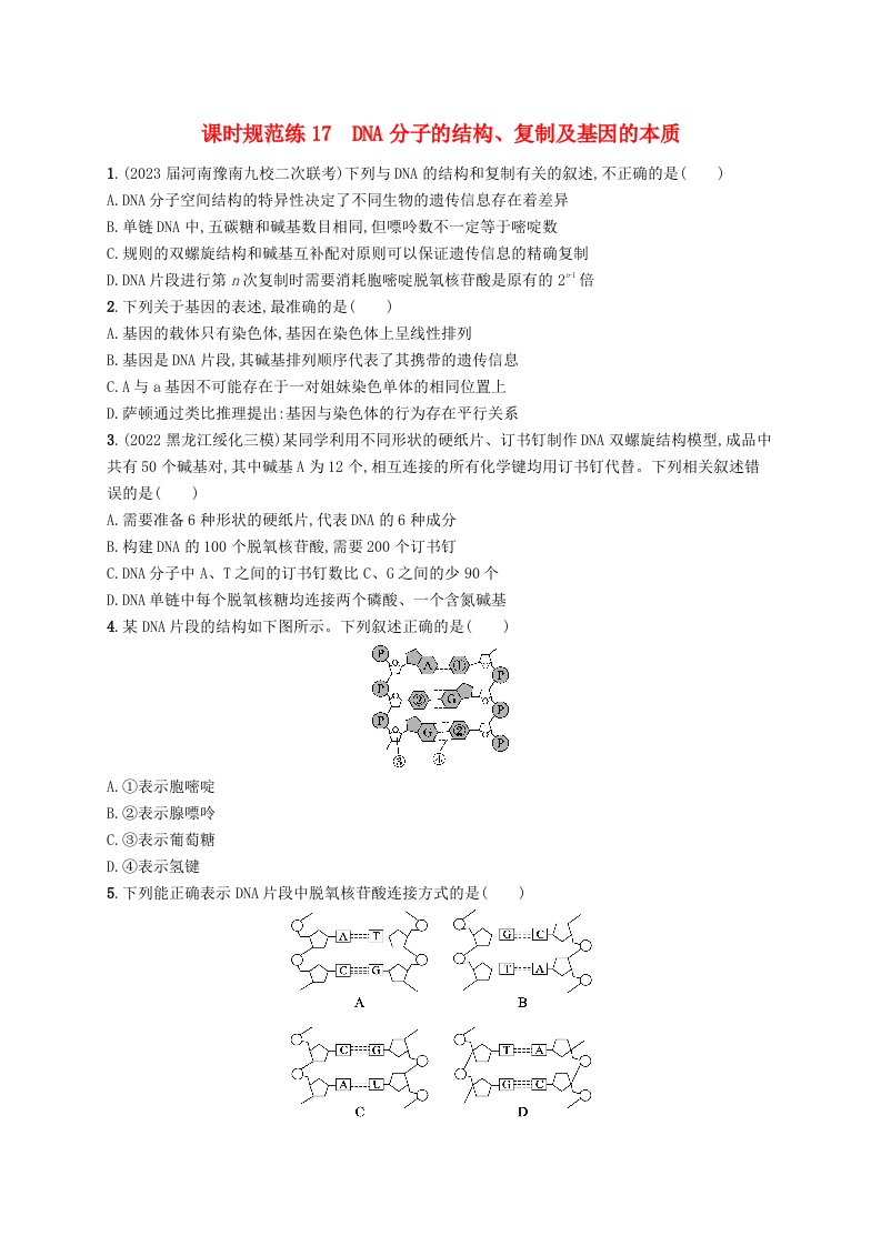 适用于老高考旧教材2024版高考生物一轮总复习第六单元遗传的分子基础课时规范练17DNA分子的结构复制及基因的本质新人教版