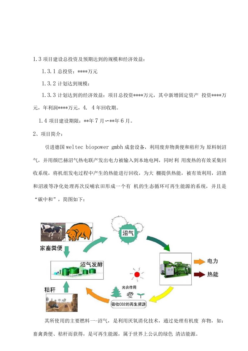 生物沼气热电联产项目可行性研究报告