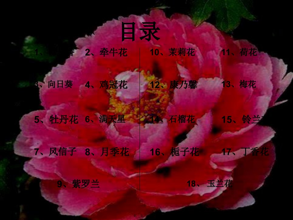 花的世界ppt