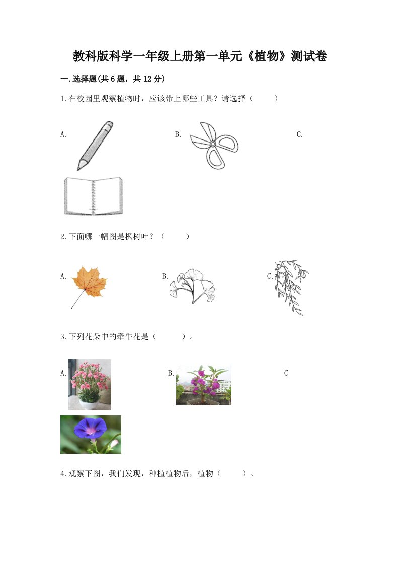 教科版科学一年级上册第一单元《植物》测试卷及完整答案（各地真题）