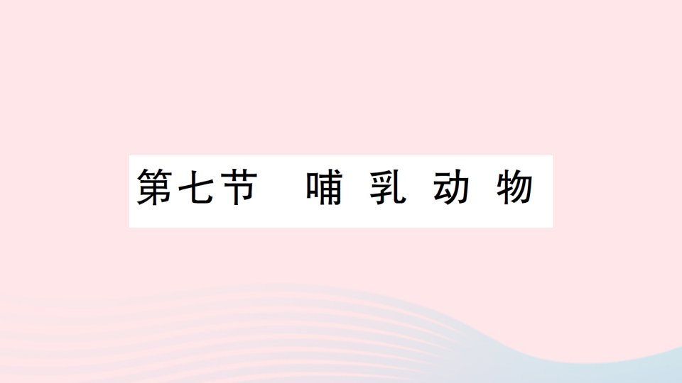 2023八年级生物上册第五单元生物圈中的其他生物第一章动物的主要类群第七节哺乳动物作业课件新版新人教版