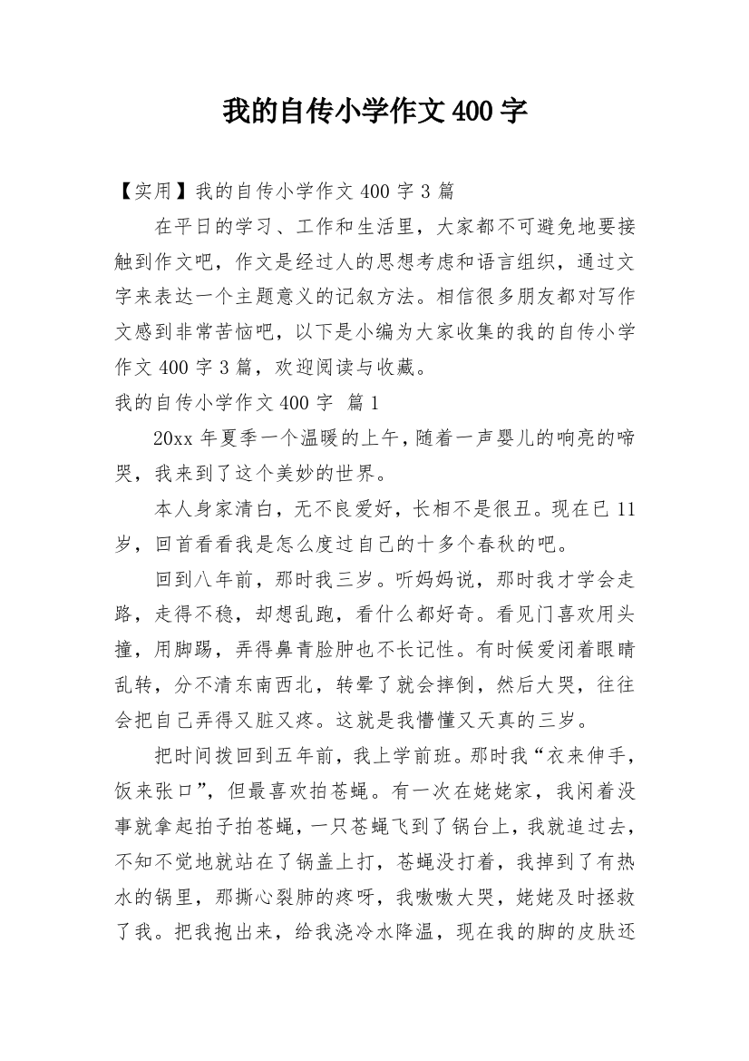 我的自传小学作文400字