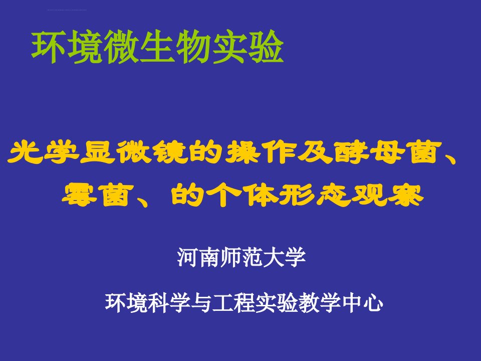 环境微生物实验光学显微镜的操作及酵母菌霉菌