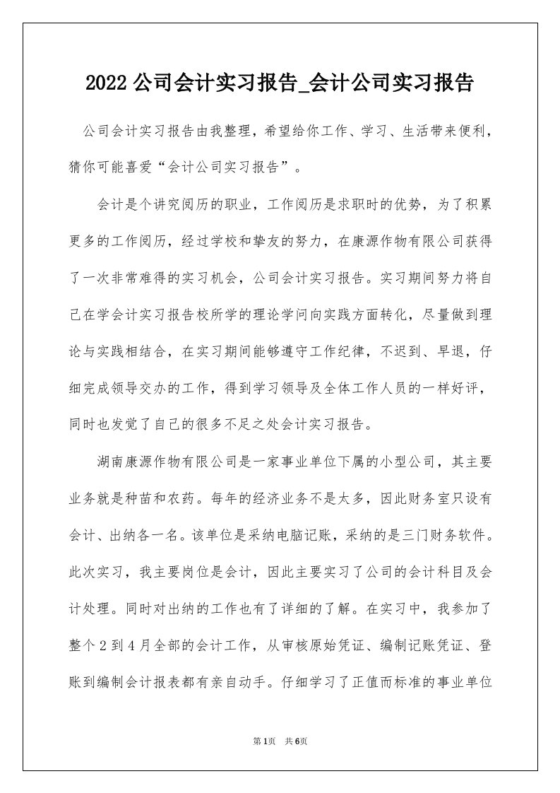 2022公司会计实习报告_会计公司实习报告