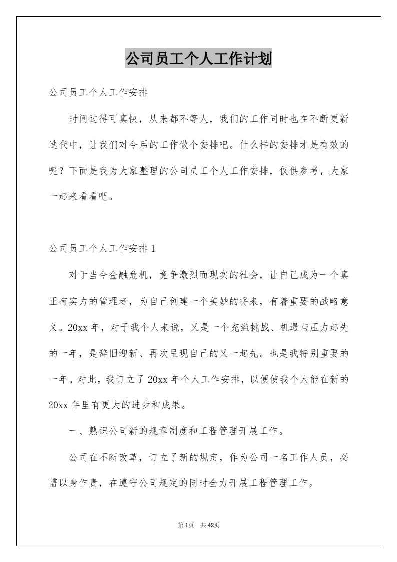 公司员工个人工作计划优质