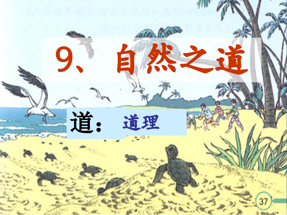 人教版四年级下册《9、自然之道》