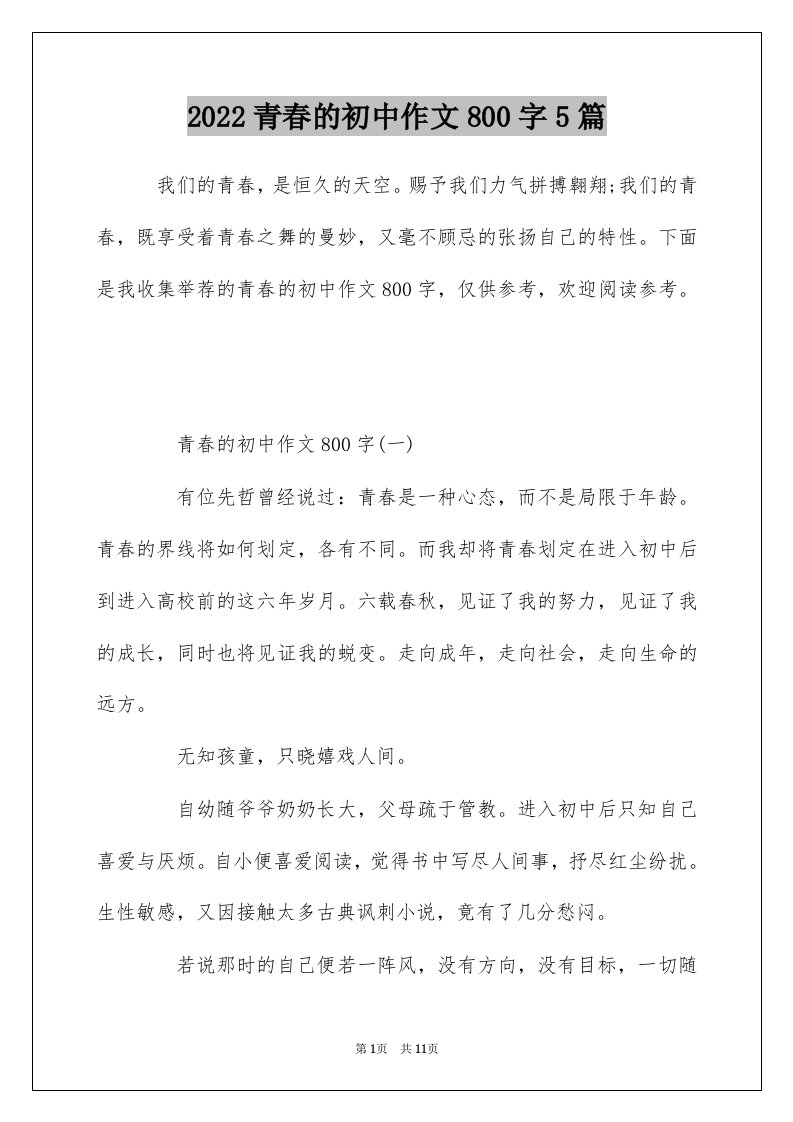 2022青春的初中作文800字5篇