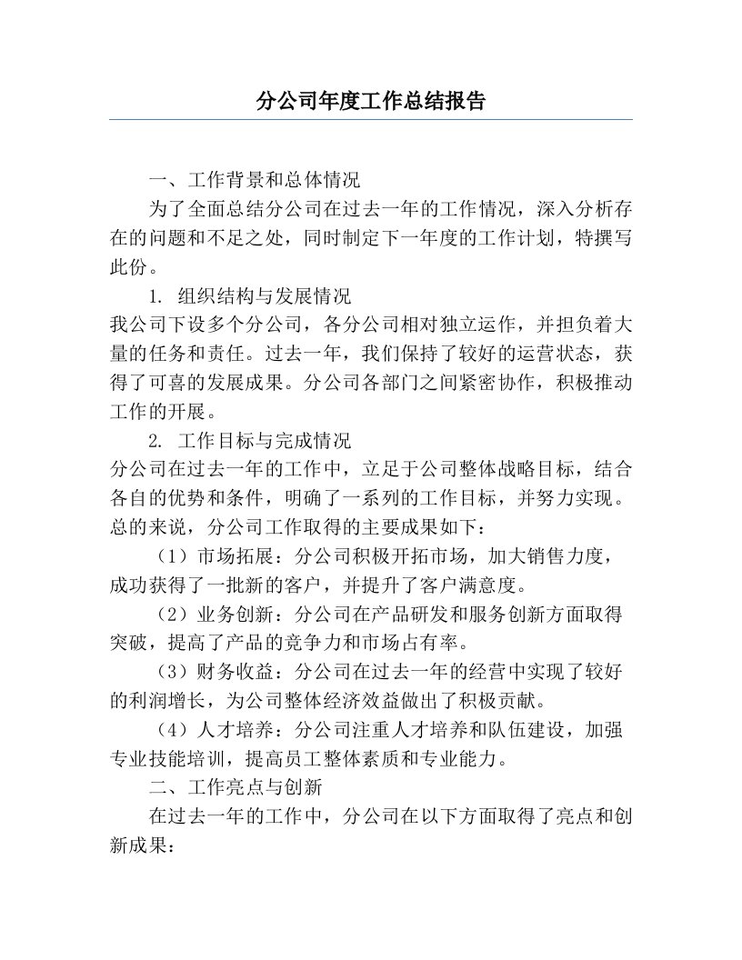 分公司年度工作总结报告