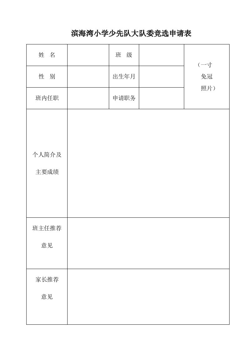 大队委竞选申请表