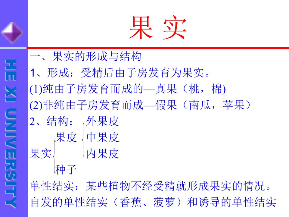 苏教版初一生物果实