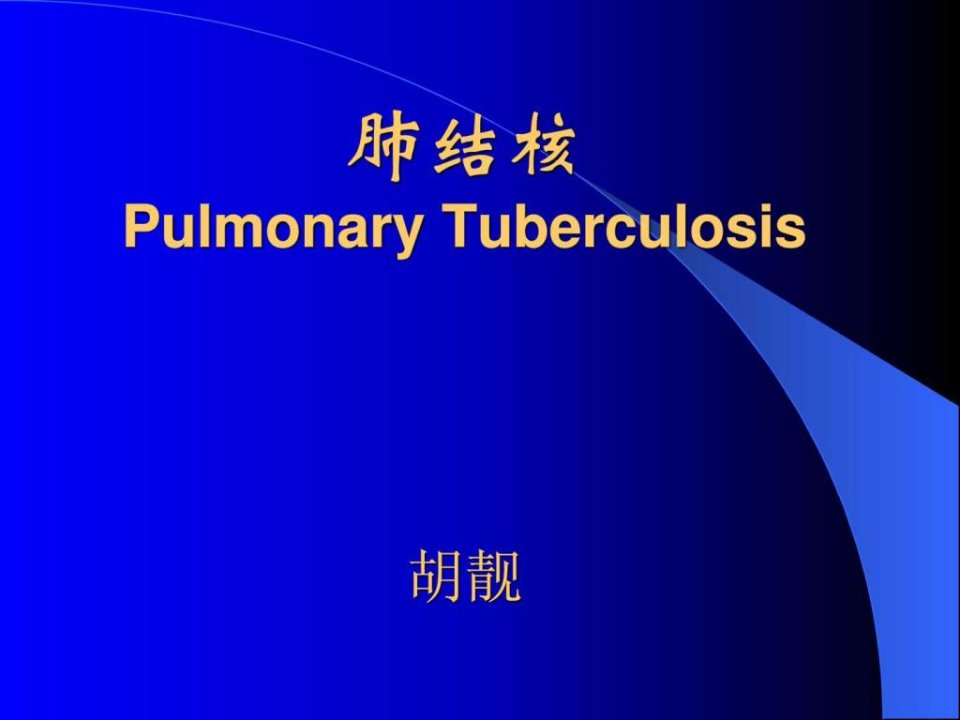 《内科肺结核护理》PPT课件