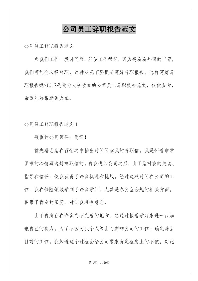 公司员工辞职报告范文例文2