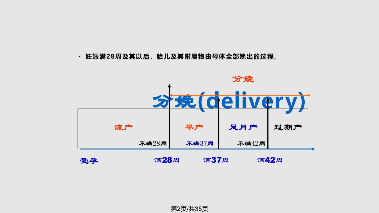 正常分娩1学习